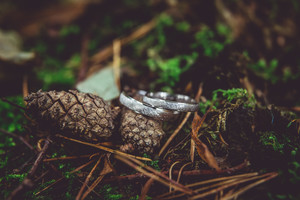 Iolanda White snubní prsteny zdobené broušením