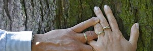 Suki Colour GW exkluzivní snubní prsteny z bíložlutého zlata